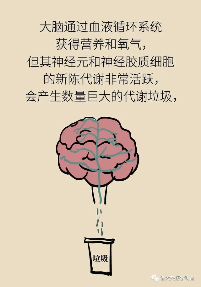 睡不好的后果远比你想得更严重，你可能会变傻！| 世界睡眠日