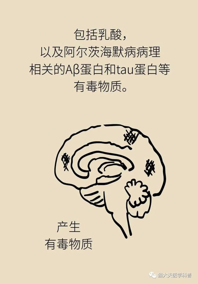 睡不好的后果远比你想得更严重，你可能会变傻！| 世界睡眠日