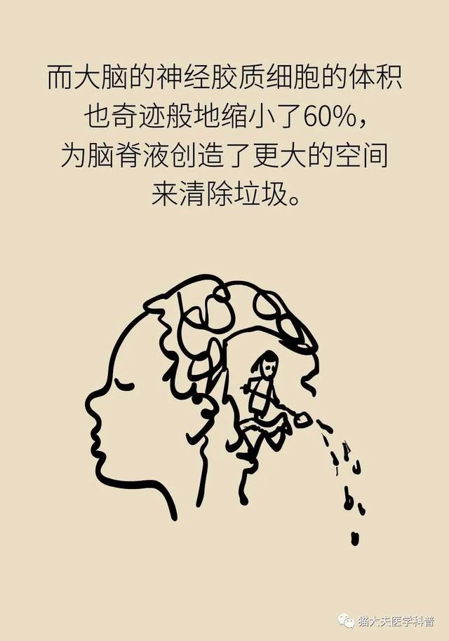 睡不好的后果远比你想得更严重，你可能会变傻！| 世界睡眠日