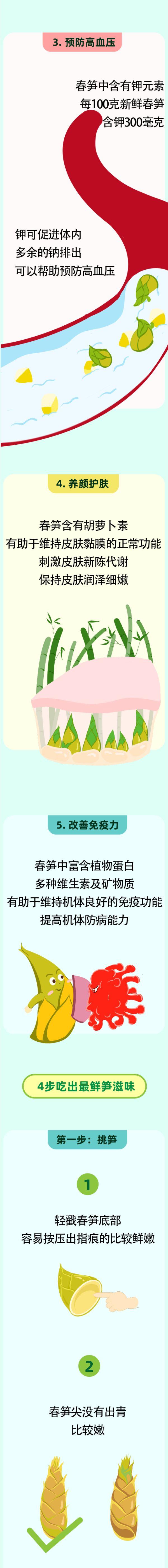 吃春笋的5个健康理由！错过还得等一年