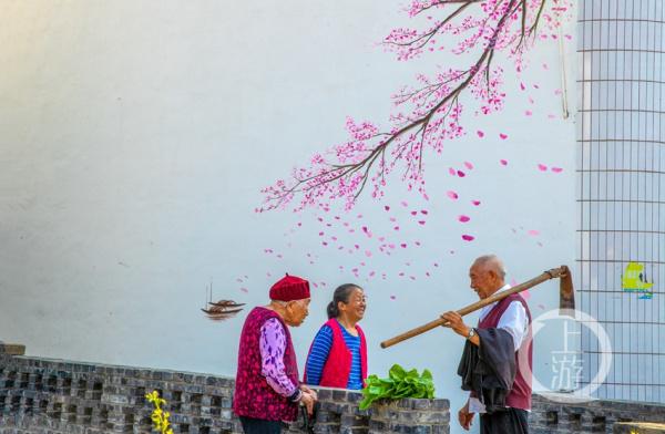 重庆南川：稻香渔歌唱美向家沟