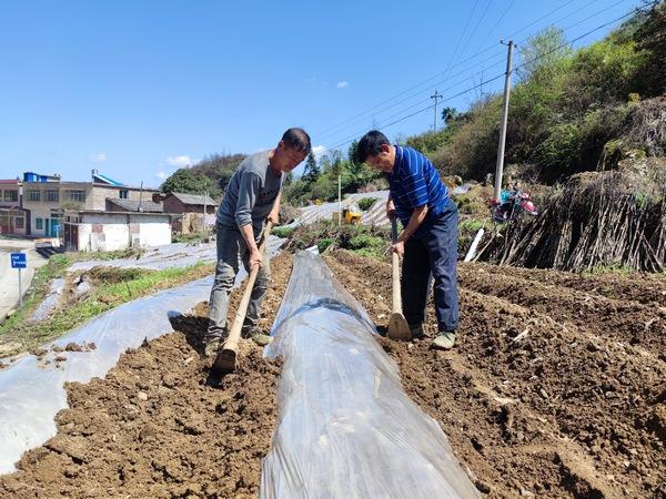 七星关区农民：开启智慧种地 精打细算增收