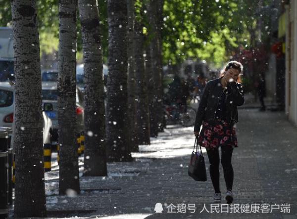 花粉过敏？专家：中午花粉浓度最高，适当减少外出