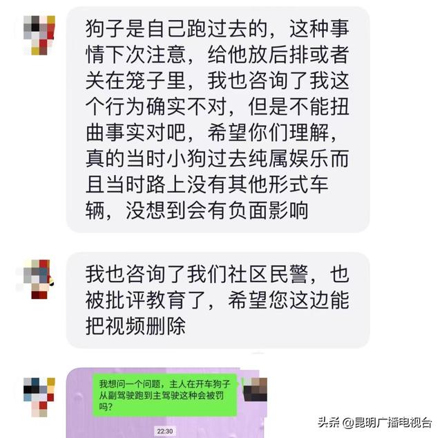 不可思议！狗子也能坐在驾驶位置开车？