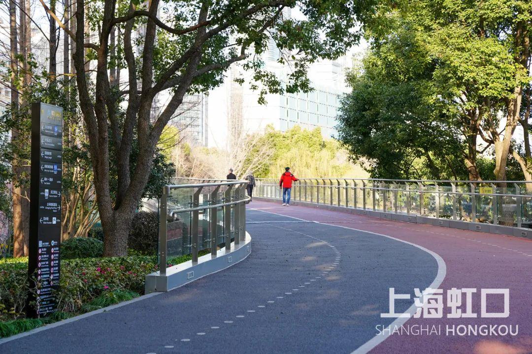 “云赏花”模式开启,一起来看虹口最美春景