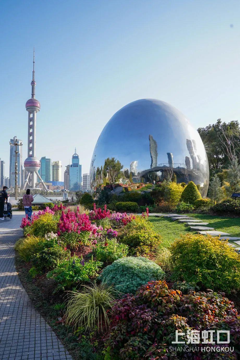 “云赏花”模式开启,一起来看虹口最美春景