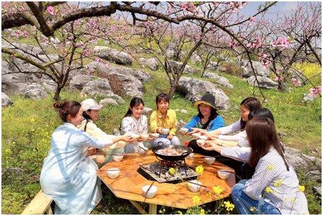 广西都庞岭下“花海”溢春芳