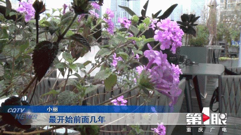 年轻女子网上结交“老实”男友 谁料背后另有隐情