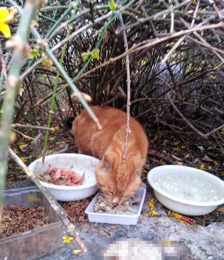 春雨中的牵挂