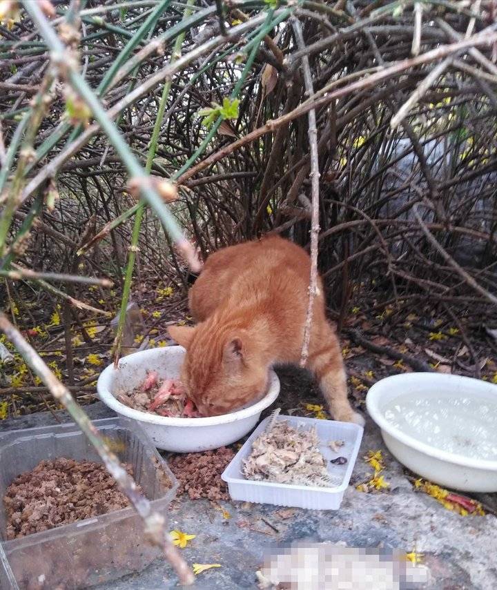 春雨中的牵挂