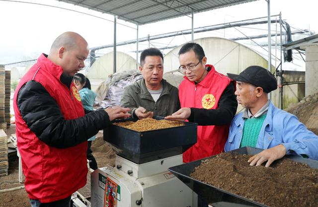 广西：科技育苗助力粮食生产提质增效