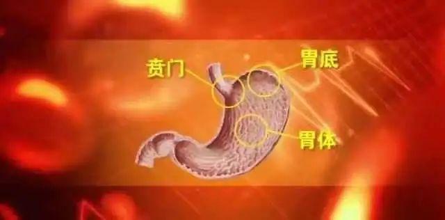 为什么晚上吃到撑，第二天醒来更饿？这些吃撑的后果你都需要知道