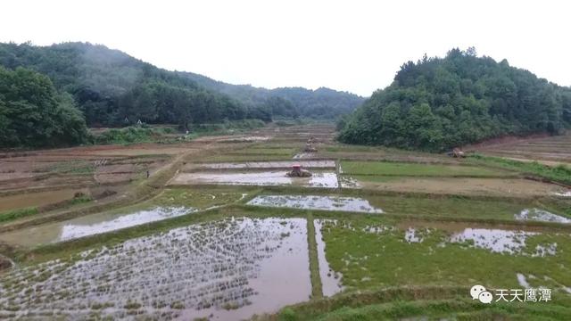 机械化工厂化！鹰潭这里农民&quot;种田一身轻&quot;......