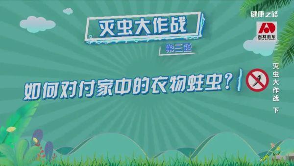 家庭必备灭虫技巧！精准对付蟑螂、蚊子、蛀虫｜健康之路