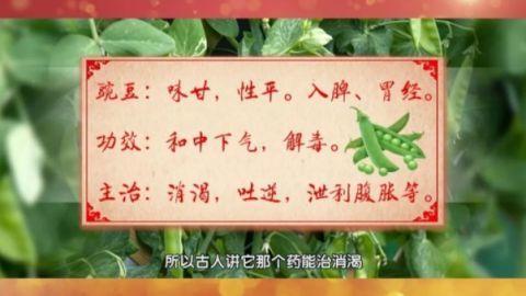 清明前常吃“豆中翘楚”，每天一把好处多！2种“黄金搭配”，营养、美味加倍