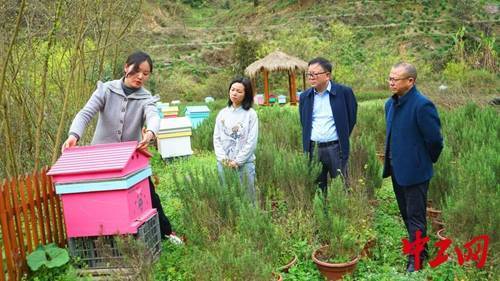 贵州黄平永爱村：三月百花开 养蜂好时节