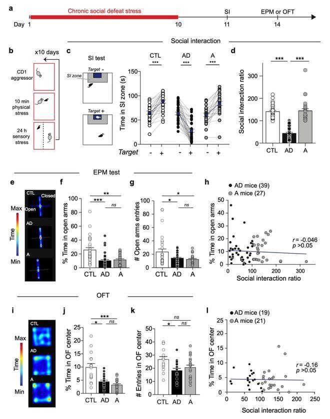 Nature子刊：韩明虎团队揭示VTA-BLA投射神经元编码焦虑行为而非抑郁行为