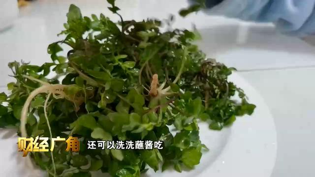 春天，来做一只“食草动物”吧