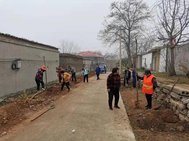 党建“红”引领环境“绿”河南禹州文殊镇打造清洁宜居乡村