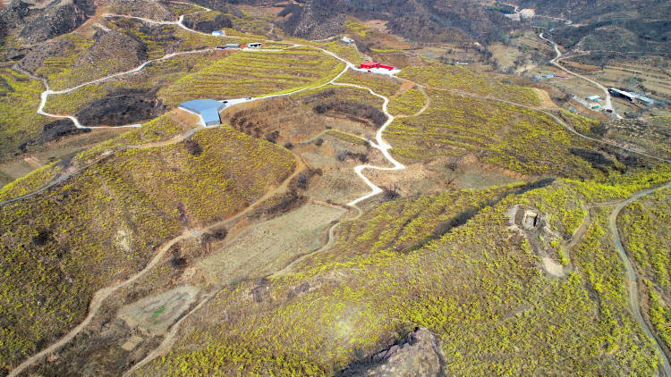 河北井陉：山间开满致富花