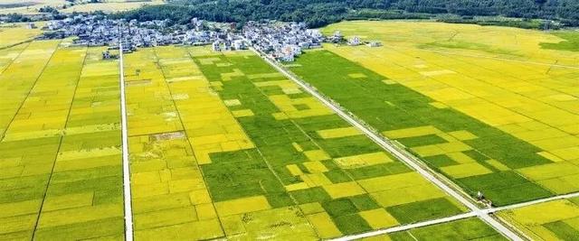 乡村大地美如画 宜业宜居好家乡——南宁市“绿城水务”乡村振兴摄影大赛作品评选结果揭晓