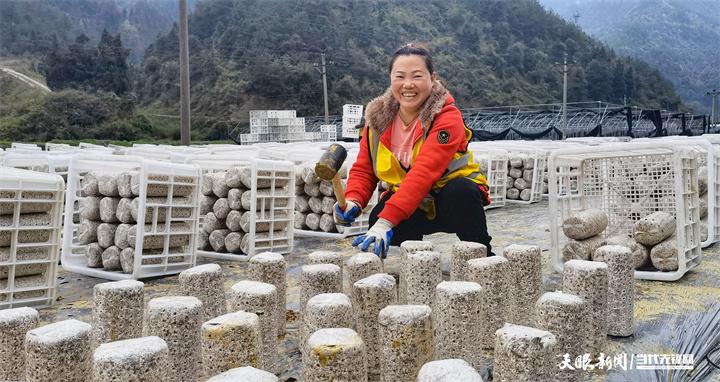 贵州万山：生态智慧农场科学种菌忙