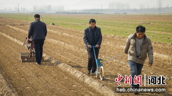 河北安国：中药材种植走出乡村振兴特色路