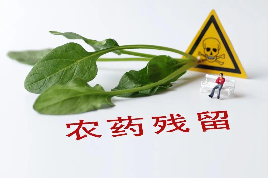 {科普进林区·科学辟谣}绿化带挖的野菜，到底能不能吃？