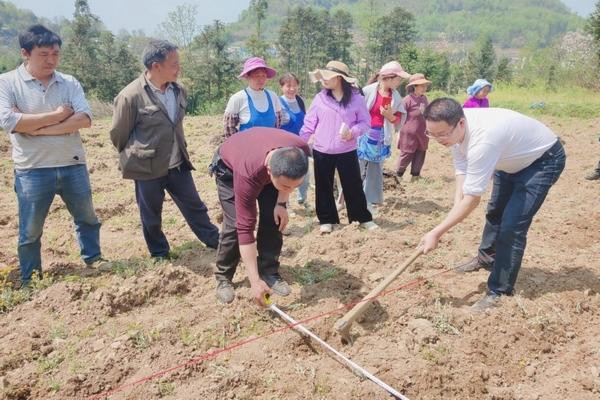 紫云县白石岩乡：春耕备耕忙 多措并举护春耕