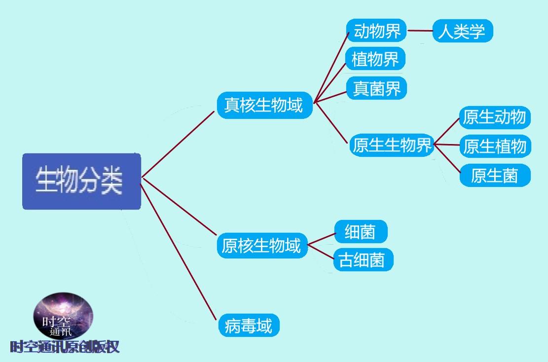 如果动物都开始反抗人类,人类会怎样?