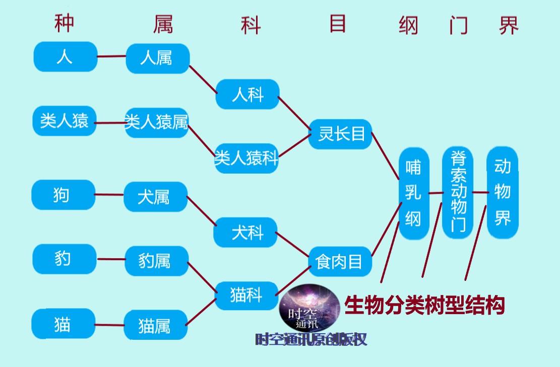 如果动物都开始反抗人类,人类会怎样?