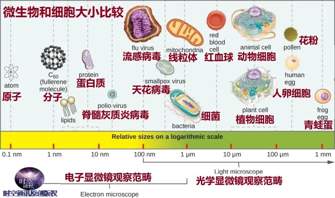 如果动物都开始反抗人类,人类会怎样?