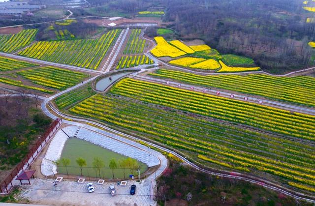 乡村振兴先行区的“罗山实践”