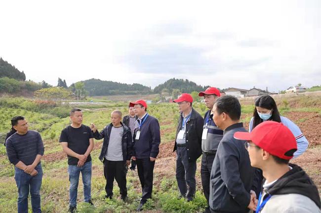 四川省级专家团把脉遂宁“幼龄果树套种大豆”产业