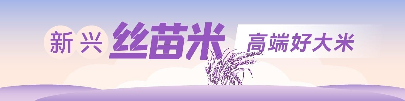 春耕忙！新兴丝苗米产业园开展农机社会化服务，助推产业高质量发展