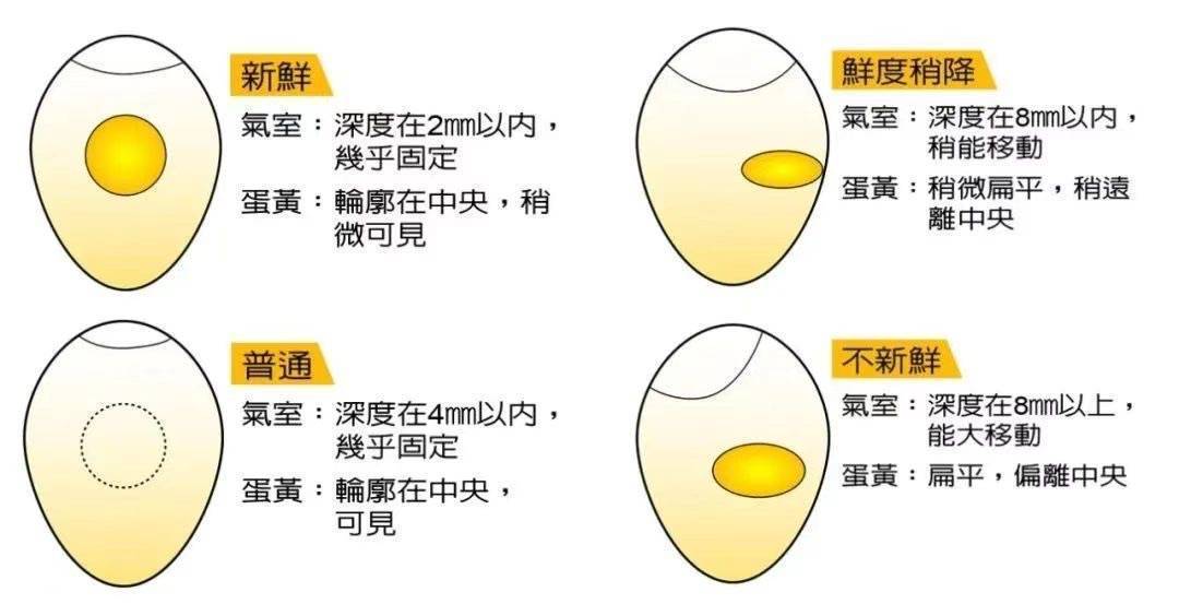 蔬菜如何存储才能更持久鲜活？