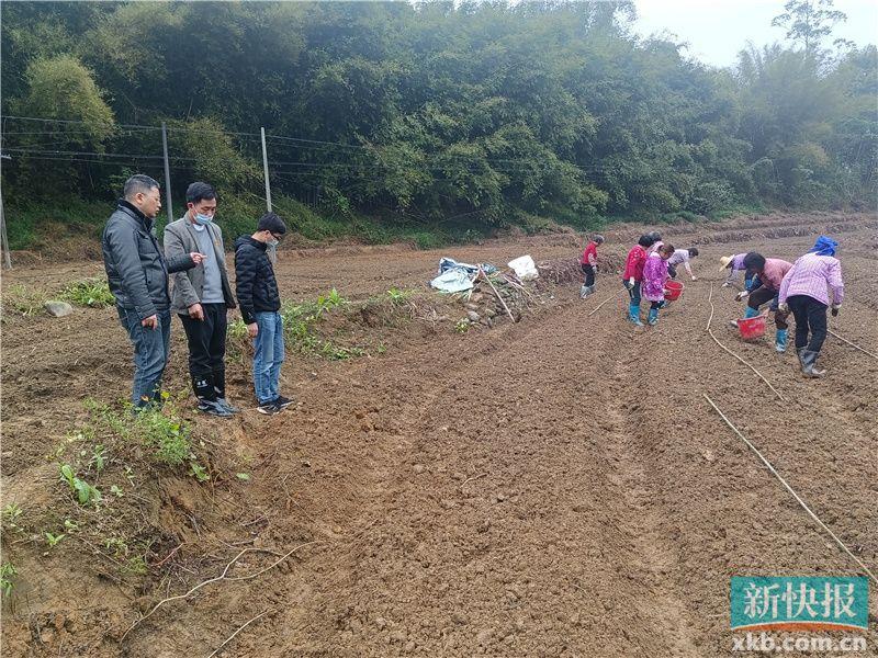 驻肇庆市古水镇工作队：狠抓撂荒地整治 持续助力乡村振兴