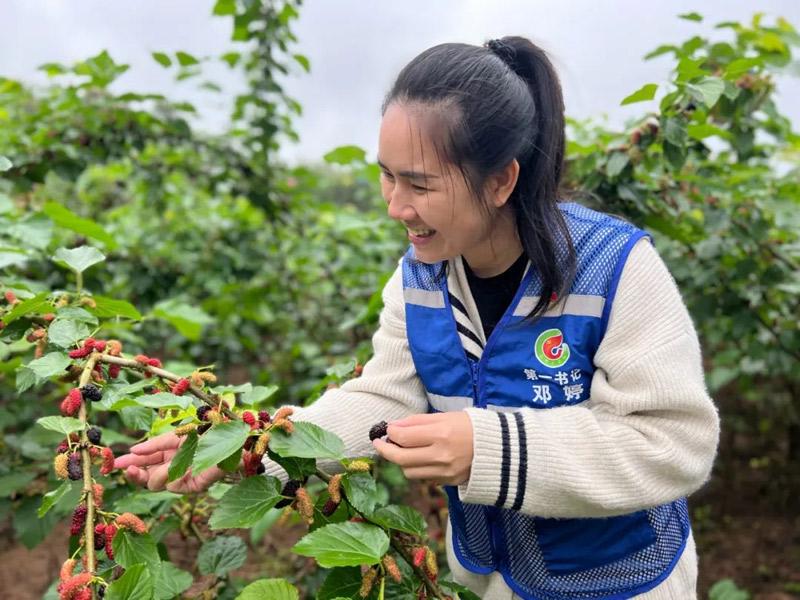 南宁市江南区同江村：蔬果飘香 喜迎丰收