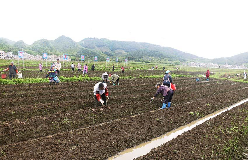 钟山：4.3亿“特色贷”激活乡村振兴“一池春水”