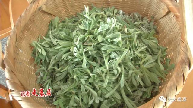 「网络中国节?清明」舌尖美味！鹰潭古法制作清明果→