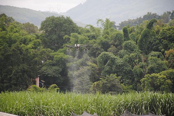 普洱景谷：科技助力糖业高质量发展