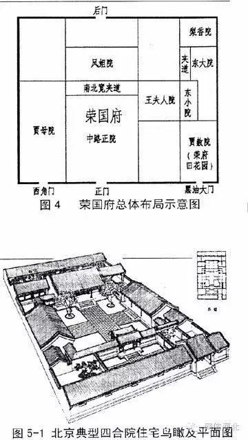 你看！你看！荣国府海棠花开正艳……