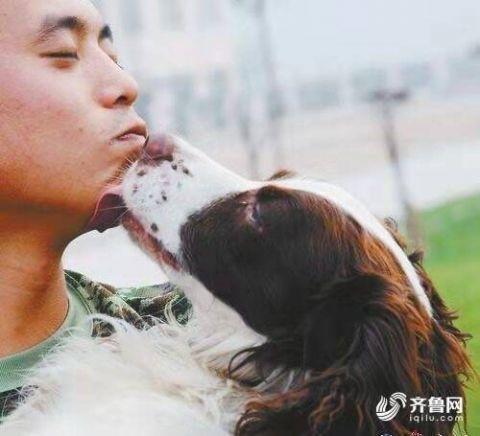 参加过玉树抗震救灾的搜救犬回汪星了 训导员：没有它 就没有我了