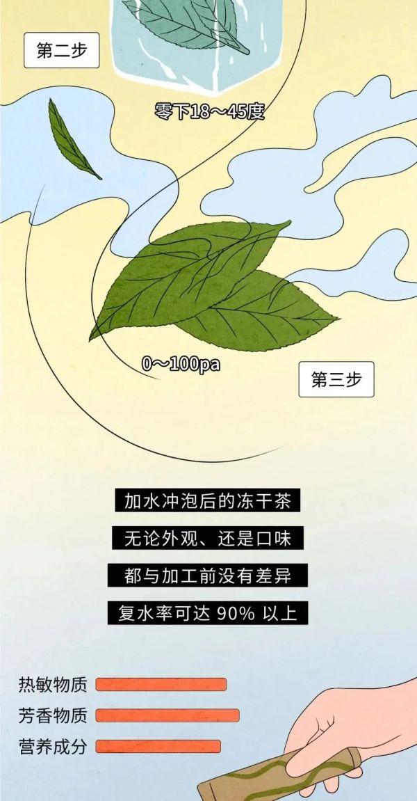 喝了几百年的茶，怎么现在变成这样了？