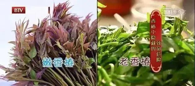 大量上市，清明就数这菜最鲜嫩！被称为“十全蔬菜”