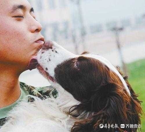 缅怀已逝功勋犬丨你陪我一程，我伴你一生——怀念搜救精灵天宝