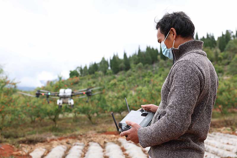 云南开远：植保无人机&quot;飞&quot;出乡村振兴新天地