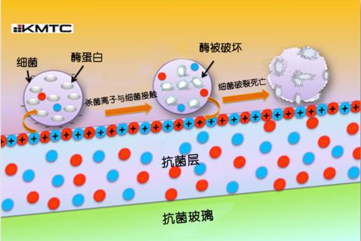 科技助力防疫 闽企科立视自主研发抗菌“利器”