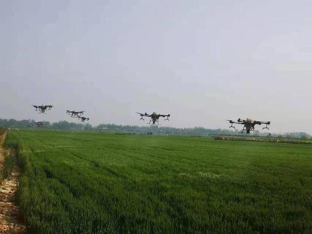 无人机“黑科技”赋能助增收 信阳固始跑出农业发展加速度