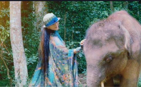 杨丽萍穿孔雀羽纱裙森林起舞 与大象同框宛如丛林精灵
